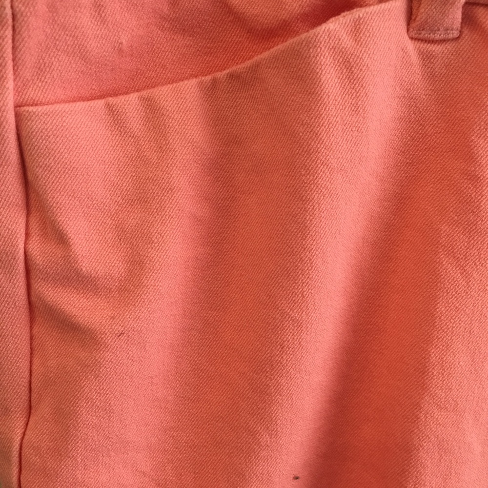 Capri Pants - Picture 4 of 5